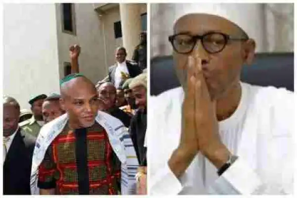 Igbos In 19 Northern States Tell Buhari What To Do To Nnamdi Kanu - Biafra